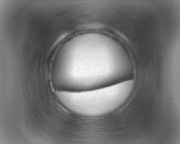 X0000082721306200701261019
