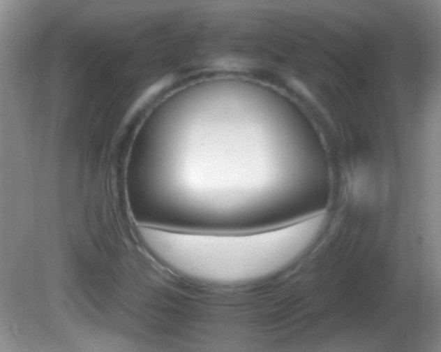 X0000082721307200701261019