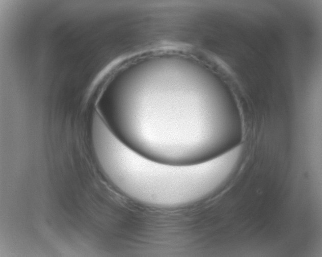X0000082721310200701261019