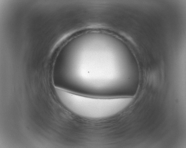 X0000082721311200701261019