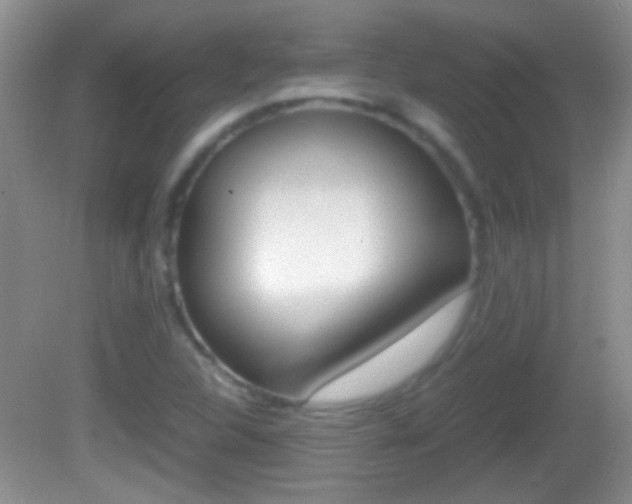 X0000082721312200701261019