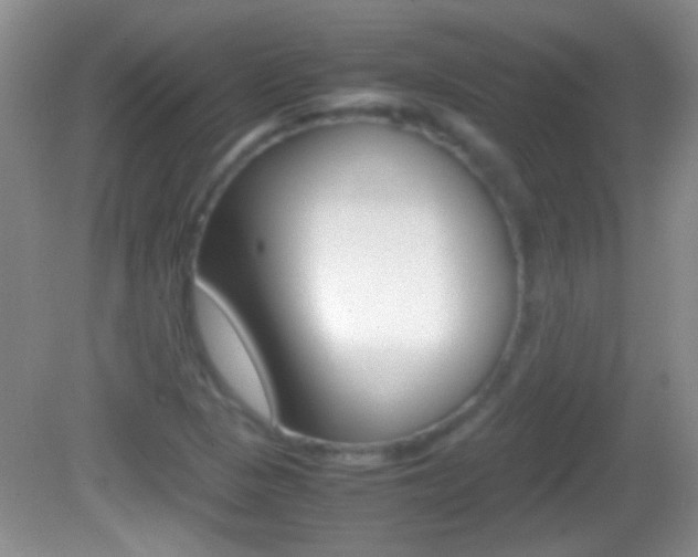 X0000082721313200701261019