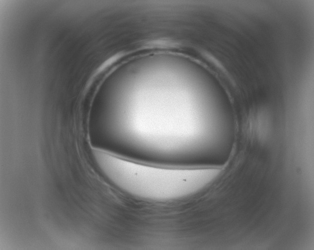 X0000082721315200701261019