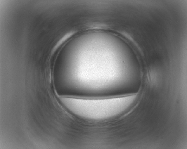X0000082721317200701261019