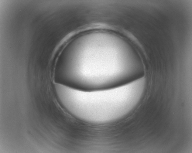 X0000082721318200701261019