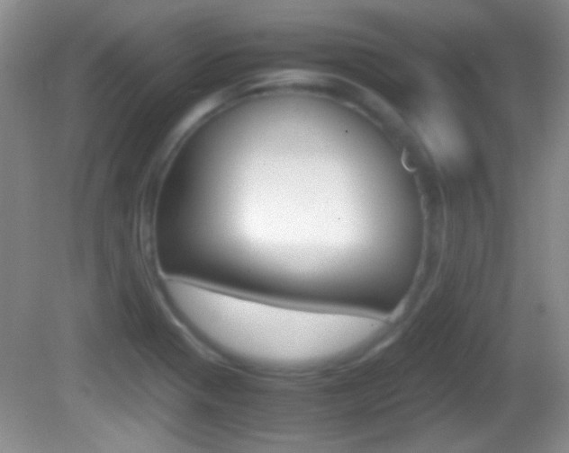 X0000082721321200701261019