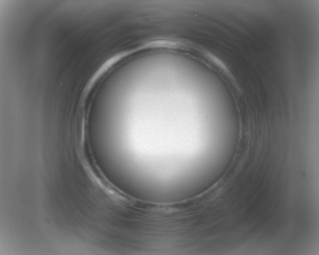 X0000082721323200701261019
