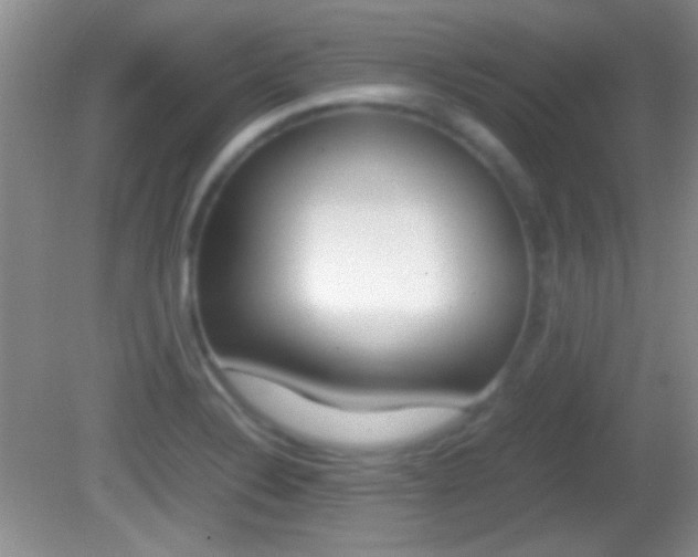 X0000082721324200701261020