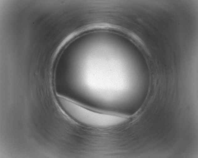 X0000082721326200701261020