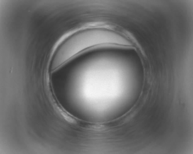 X0000082721328200701261020
