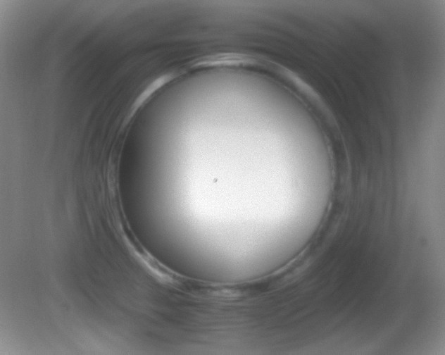 X0000082721329200701261020