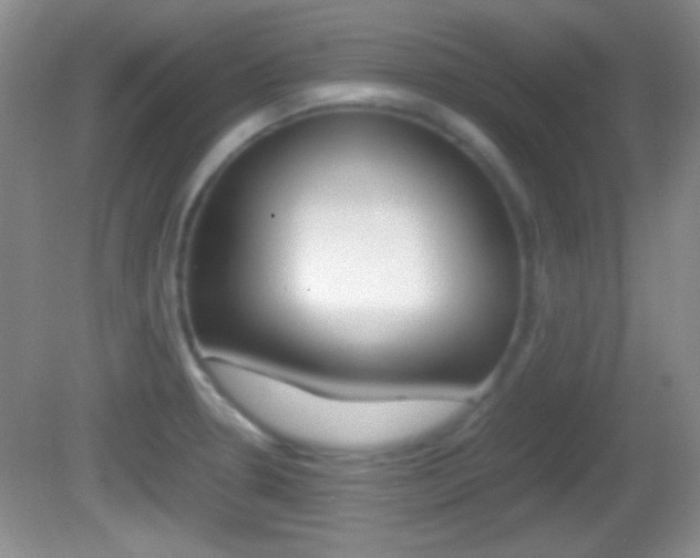 X0000082721330200701261020