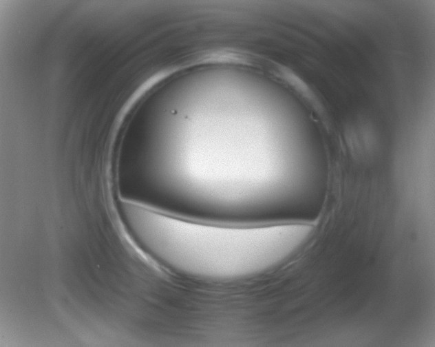X0000082721331200701261020