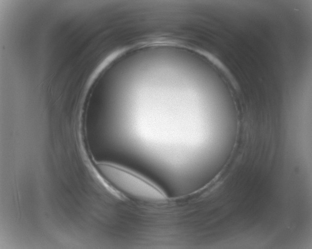 X0000082721333200701261020