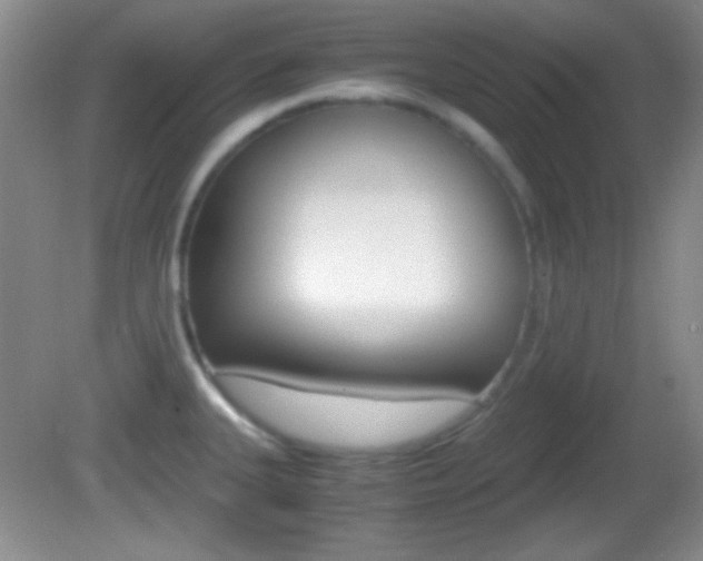 X0000082721335200701261020