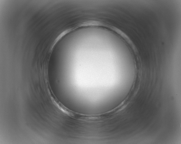 X0000082721337200701261020