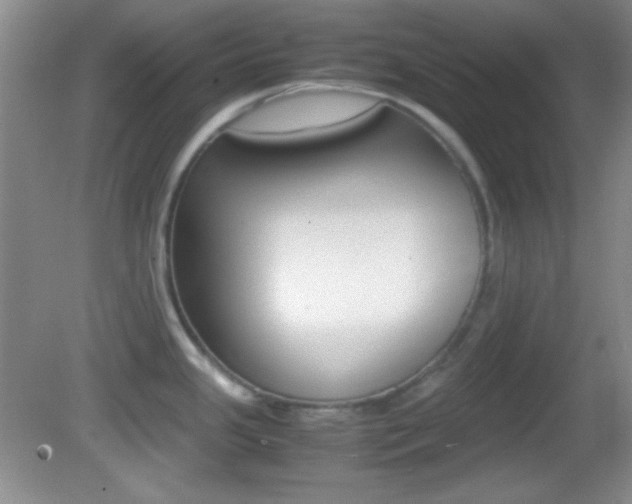 X0000082721341200701261020