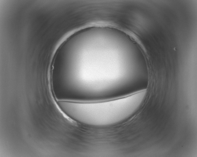 X0000082721343200701261020