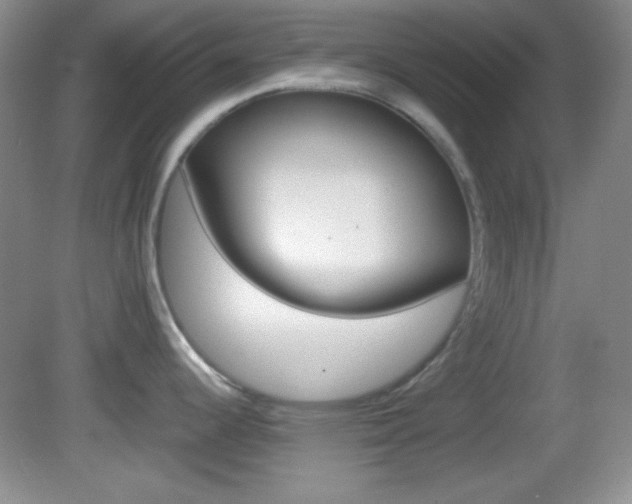 X0000082721344200701261020