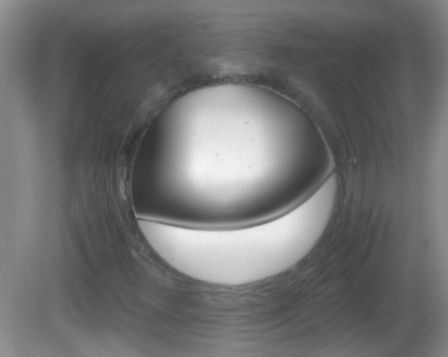 X0000082721348200701261019