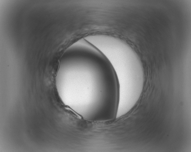 X0000082721349200701261019