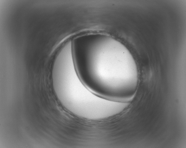 X0000082721352200701261019