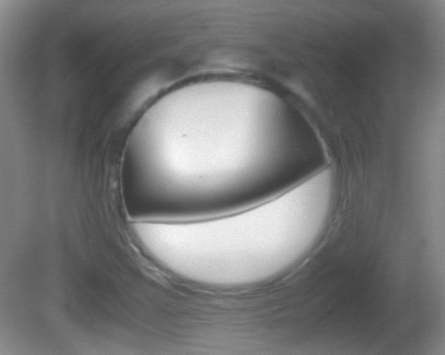 X0000082721355200701261019