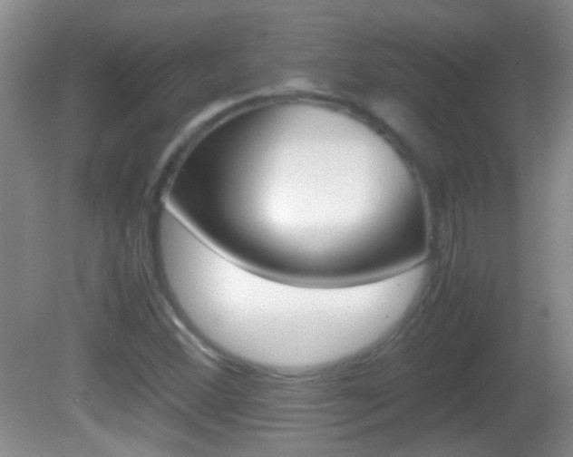 X0000082721356200701261019