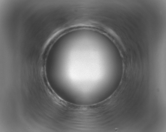 X0000082721360200701261019