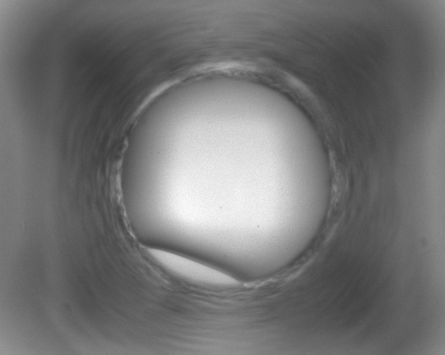 X0000082721361200701261019