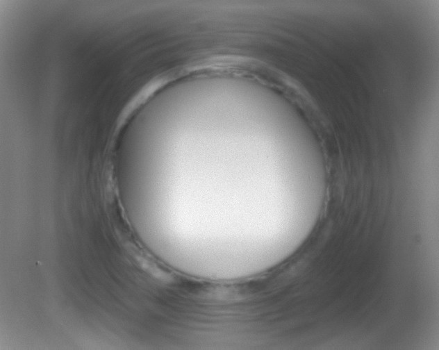 X0000082721362200701261019
