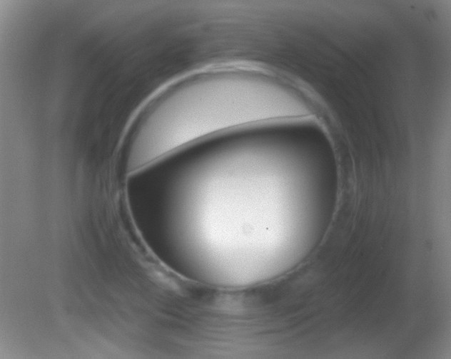 X0000082721364200701261019