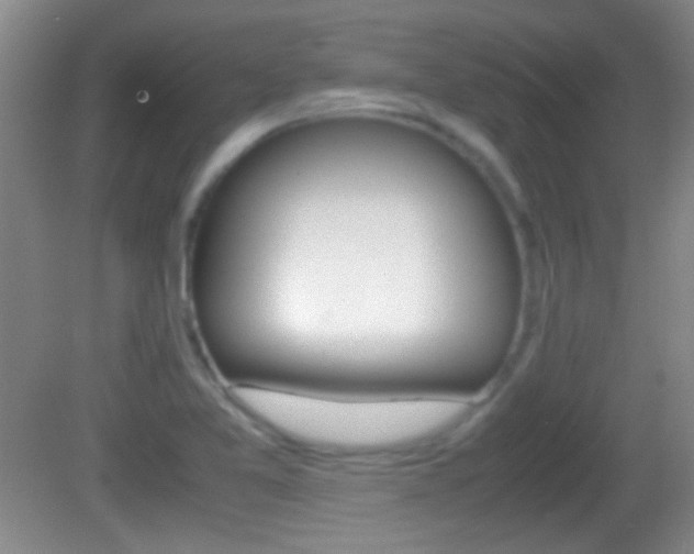 X0000082721365200701261019