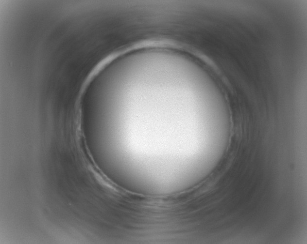 X0000082721366200701261019