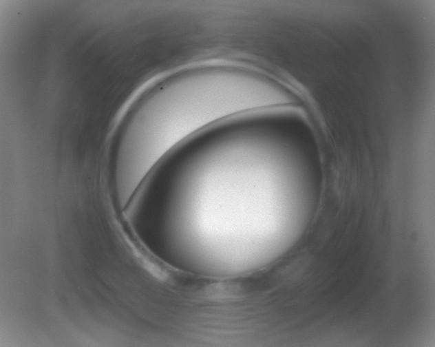 X0000082721368200701261019