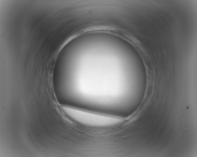 X0000082721369200701261019