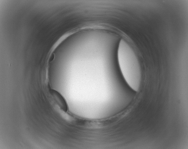 X0000082721370200701261019