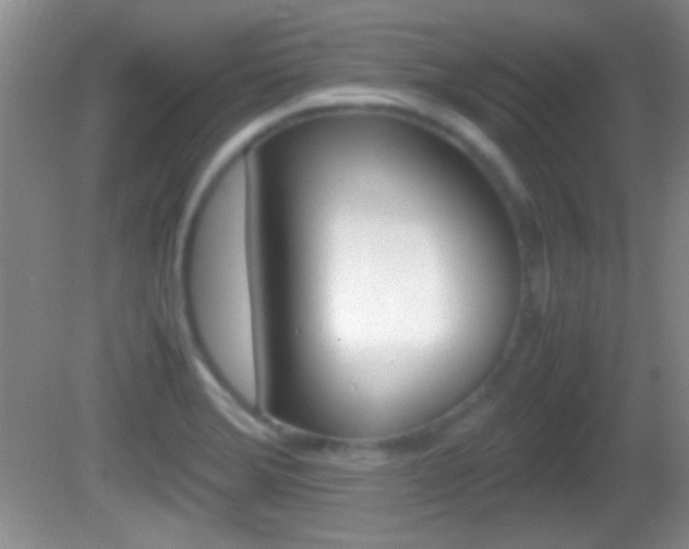 X0000082721372200701261019