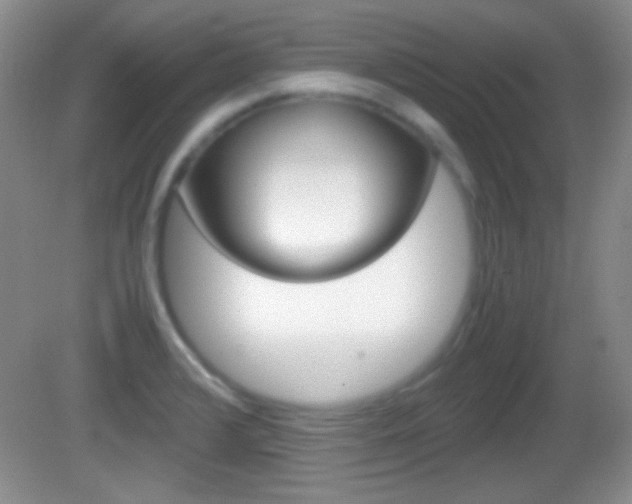 X0000082721376200701261019