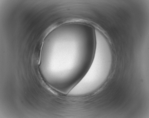 X0000082721377200701261019