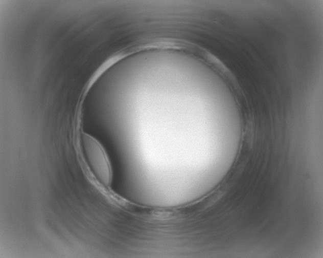 X0000082721378200701261018