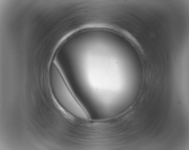 X0000082721380200701261018