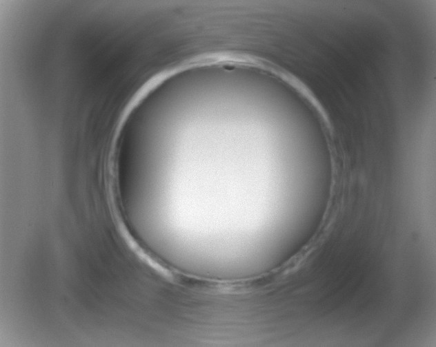 X0000082721381200701261018