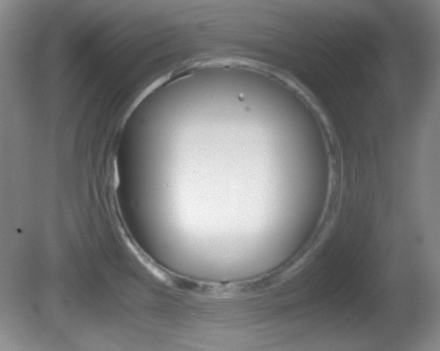 X0000082721385200701261018