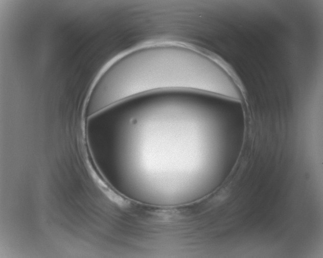 X0000082721388200701261018