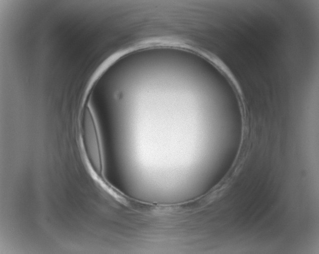 X0000082721389200701261018