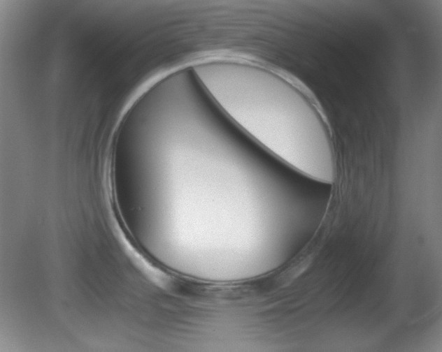X0000082721391200701261018