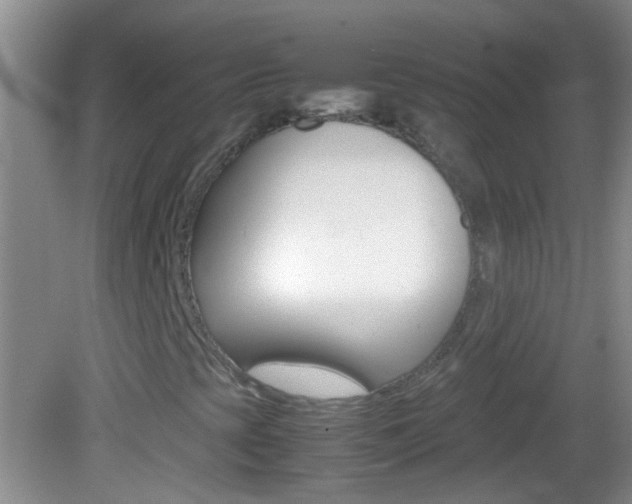 X0000082721393200701261017