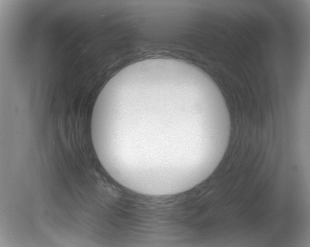 X0000082721394200701261017
