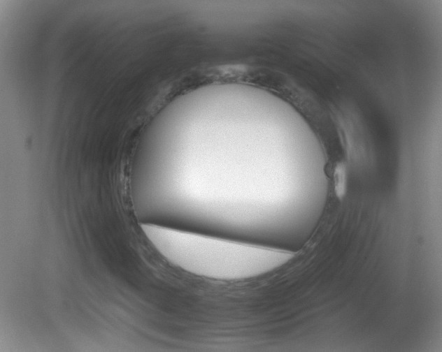 X0000082721395200701261017
